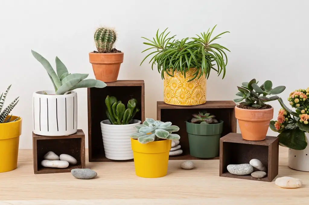 Ollas de terracota para cocinar